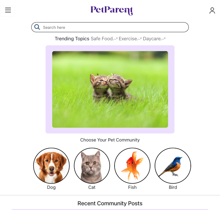 Main page of pet parent
